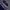 H&M Indie Casual Sweater Pria Navy