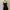 Goth Crop top Wanita black photo 2
