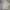 Nike Luxury Minimalist Hoody Pria silver gray photo 2