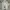 Nike Luxury Minimalist Hoody Pria silver gray photo 1
