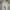 Nike Luxury Minimalist Hoody Pria Silver Gray