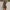 Streetwear Y2K Midi dress Wanita brown black photo 4