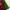 Nike Sportswear T-shirt Pria burgundy yellow photo 4