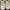 New Balance Y2K Sneakers Wanita cream photo 3