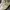 New Balance Y2K Sneakers Wanita cream photo 2