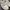 New Balance Y2K Sneakers Wanita cream photo 1