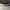 The Hundreds Streetwear Skater Hoody Pria gray photo 3