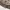Y2K Biker Leather jacket Wanita tan brown photo 6