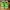 Nike SB Dunk Low Supreme Mean Green photo 5