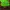 Nike SB Dunk Low Supreme Mean Green photo 6