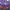 Nike Air Jordan 1 High Court Purple photo 4