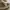 Maison MIHARA YASUHIRO Streetwear Avant Garde Sneakers Pria tan photo 4