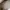 Y-3 Streetwear Avant Garde Sneakers Pria cream photo 5