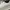 Y-3 Streetwear Avant Garde Sneakers Pria cream photo 2
