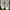 Y-3 Streetwear Avant Garde Sneakers Pria cream photo 3