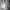 thisisneverthat Casual Hoody Pria gray photo 4