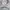 thisisneverthat Casual Hoody Pria gray photo 3