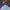 Adidas Casual Bomber jacket Pria multicolor photo 4