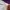 Hummel Skater Sportswear Hoody Pria purple navy photo 7