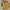 Vintage Pea Coat Pria Yellow
