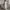 Ecinos Minimalist Casual Midi dress Wanita white photo 2