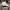 Casual Hat Pria white photo 4