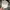 Casual Hat Pria white photo 5