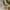 GAP Vintage Casual Windbreaker Pria tan photo 5