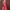 Fairy Coquette Evening Dress Wanita Gold Red