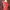 Fairy Coquette Evening dress Wanita gold red photo 2