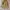 Vintage Y2K Trench coat Pria cream photo 4