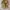 Vintage Y2K Trench coat Pria cream photo 1