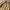 Vintage Y2K Trench coat Pria cream photo 3