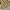 Vintage Y2K Trench Coat Pria Cream