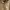 Pull & Bear Casual Leather jacket Wanita tan photo 3