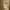 Pull & Bear Casual Leather jacket Wanita tan photo 6