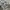 Polo Ralph Lauren Casual T-shirt Pria gray photo 3