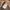 Uniqlo Streetwear Casual Casual Pants Pria Brown