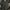 Indie Fur coat Pria black photo 1