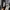 Off-White Streetwear Short Pria black photo 5