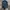 JanSport Luxury Pria navy photo 1