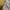 Vintage Streetwear Short Pria tan photo 4