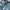 Carhartt Vintage Y2K Casual shirt Pria blue photo 5