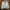 Vintage Casual Harrington jacket Pria white photo 1