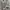 Vintage Casual Harrington jacket Pria white photo 5