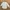 Uniqlo Streetwear Muslim Casual shirt Pria cream photo 1