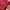 Eastpak Streetwear Sportswear Bag Pria red photo 3