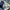 Carhartt Streetwear Casual pants Pria navy photo 3