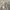 Luxury Casual Sweater Wanita cream photo 4