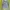 Levi's Casual Sweater Wanita blue photo 1